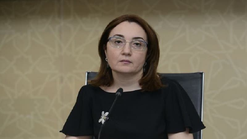 “Dövlət vətəndaşların çətinliklərini başa düşərək yumşaldılmaya gedir”