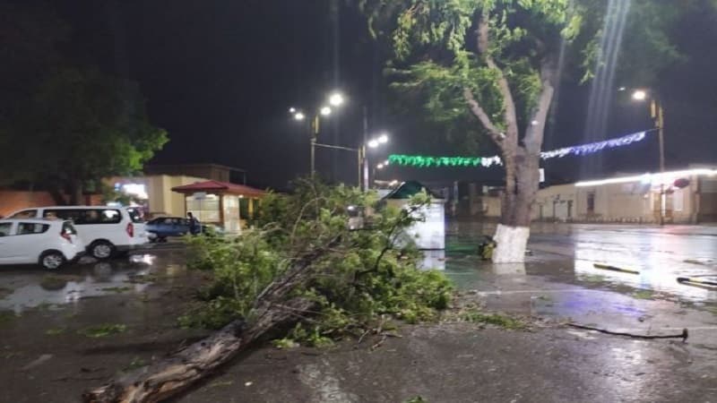 Özbəkistanda fırtına can aldı (FOTOLAR)