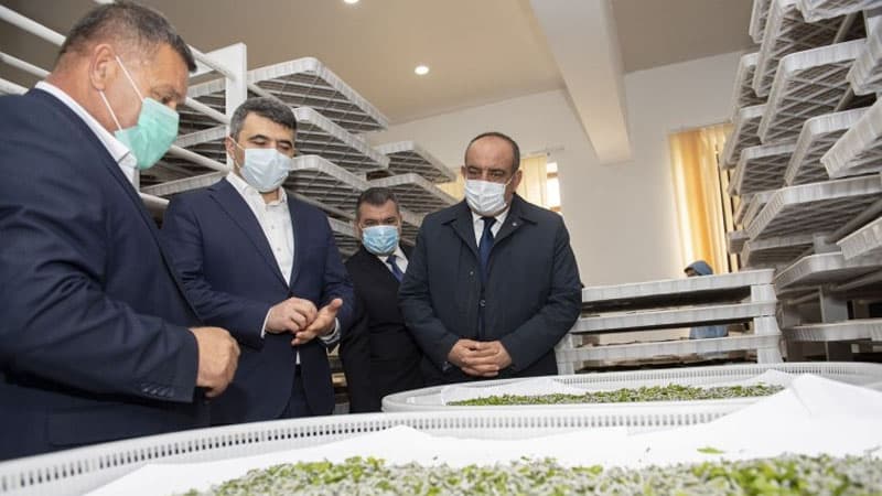20 min qutu hibrid ipəkqurdu sənaye toxumlarının kümçülərə paylanmasına başlanılıb