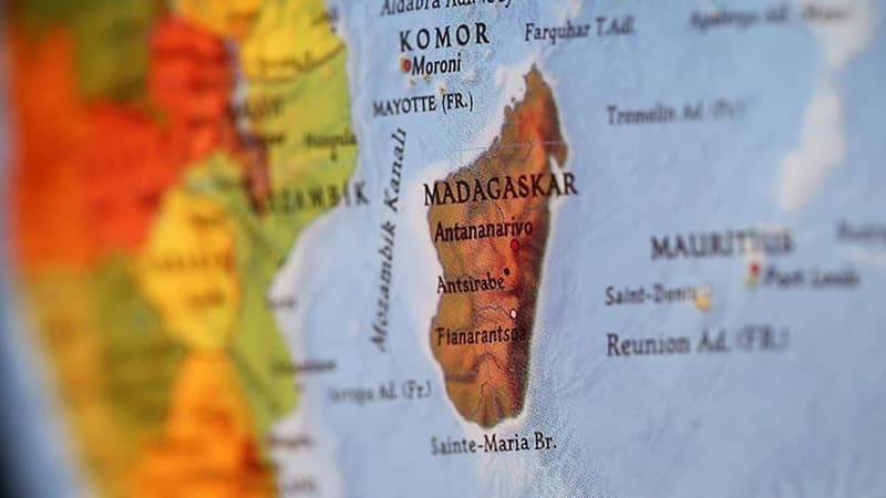 Madaqaskarda 66 milyon il əvvələ aid qalıq tapıldı