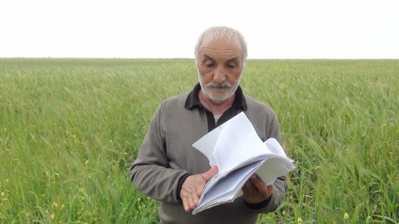 Torpaqları alınan ailələrin Prezidentə müraciəti nəzarətə götürüldü