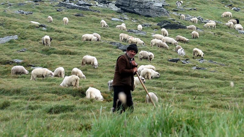 Fermer tibb məntəqəsini çobanlarının yaşayış yerinə çevirdi (AÇIQLAMA)