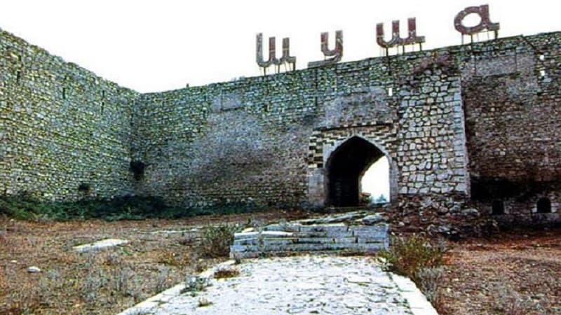 “Şuşalı olub Şuşanı görməmişəm”