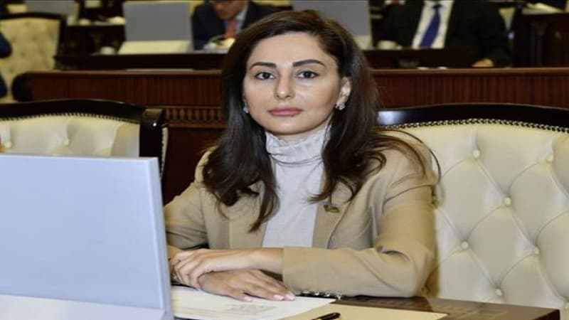 Deputat: "İnsan hüquqlarına hörmət hər zaman Azərbaycan üçün prioritet məsələ olub"