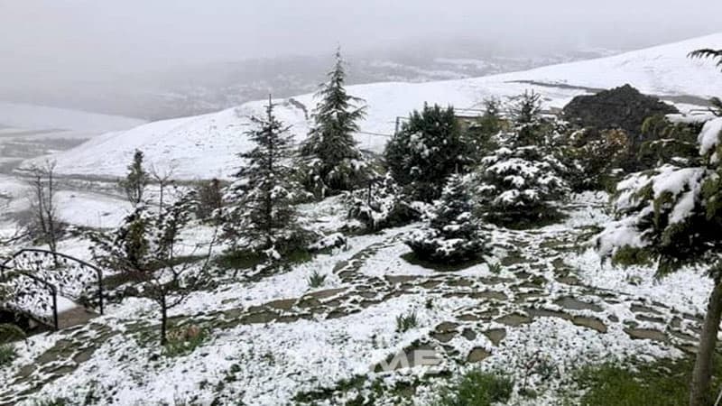 Azərbaycanın bu ərazilərinə qar yağdı (FAKTİKİ HAVA)