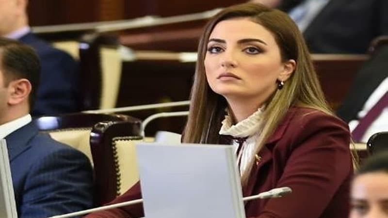 AŞPA Sosial, səhiyyə və davamlı inkişaf məsələləri üzrə komitəsinin videokonfrans formatında iclası keçirilib