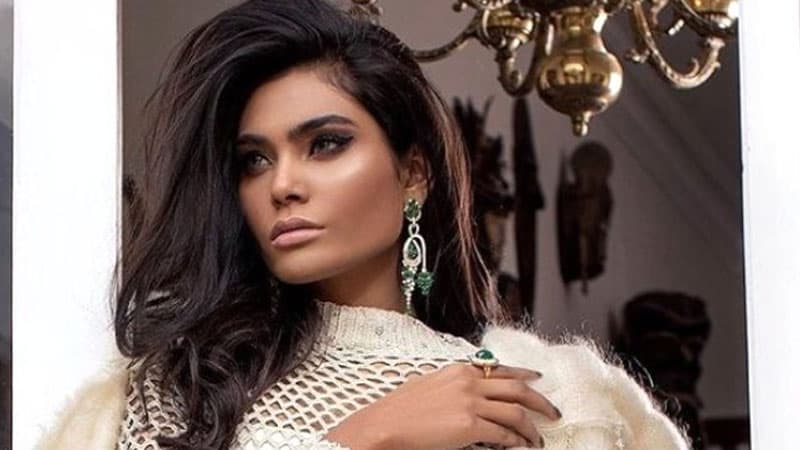 Pakistanın məşhur modeli də təyyarə qəzasında həyatını itirdi