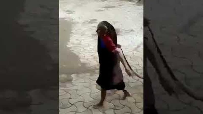 Kobraya əsəbiləşən qadının bu hərəkəti görənləri heyrətləndirir (VİDEO)