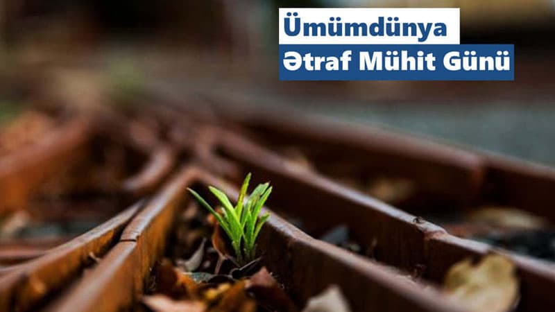 ADY ətraf mühitin qorunması istiqamətində fəaliyyətini genişləndirir