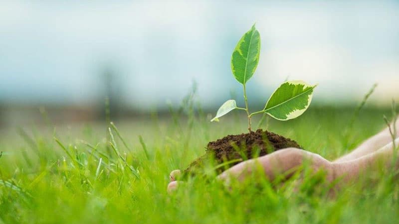 5 İyun Ümumdünya Ətraf Mühit Günüdür