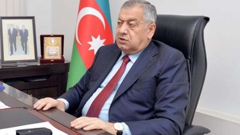 Vahid Əhmədov: "Polislər zorla evlərə girib vətəndaşları lüt bayıra çıxarırlar, bu doğru hal deyil"