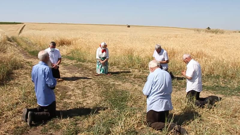 Azərbaycanın yeganə kolxozunda maraqlı təsərrüfat ənənəsi (FOTO/VİDEO)
