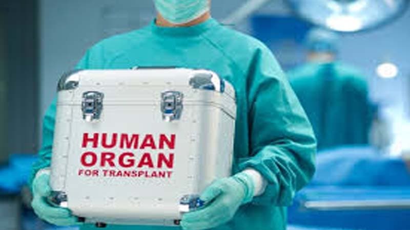 Orqan transplantasiyası ilə bağlı qanun layihəsi parlamentdə