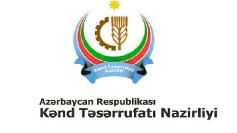 Respublika Süni Mayalanma Mərkəzinə yeni direktor təyin edilib