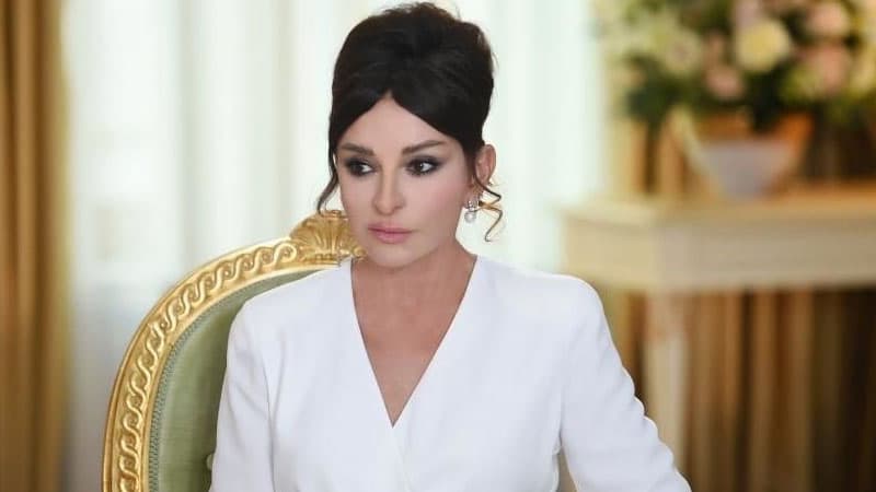 Qarabağ veteranı Mehriban Əliyevaya müraciət etdi