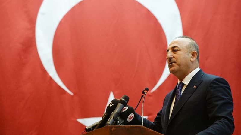 Çavuşoğlu: "Can Azərbaycana canımız fəda" (VİDEO)