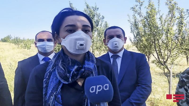 Ombudsman: "Ermənistan Cenevrə konvensiyasını kobud şəkildə pozub"