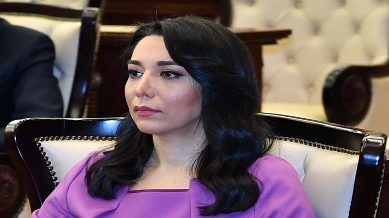 Ombudsman Tovuzda monitorinq aparan zaman ermənilər atəş açıblar (VIDEO)