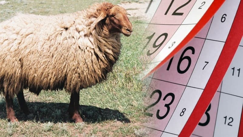 Qurban bayramında 4 gün iş olmayacaq
