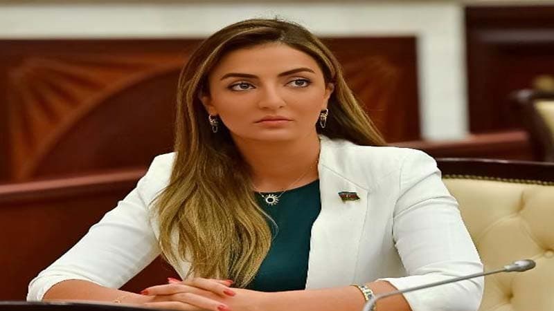 Ermənistanın sərhəddə törətdiyi təxribatlar Avropa mətbuatında