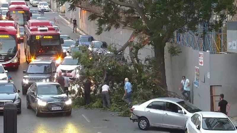Bakıda külək ağacı yola aşırdı