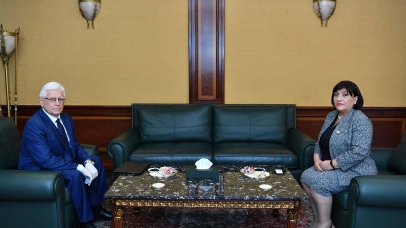 Sahibə Qafarova Rusiyanın Azərbaycandakı səfirini qəbul edib