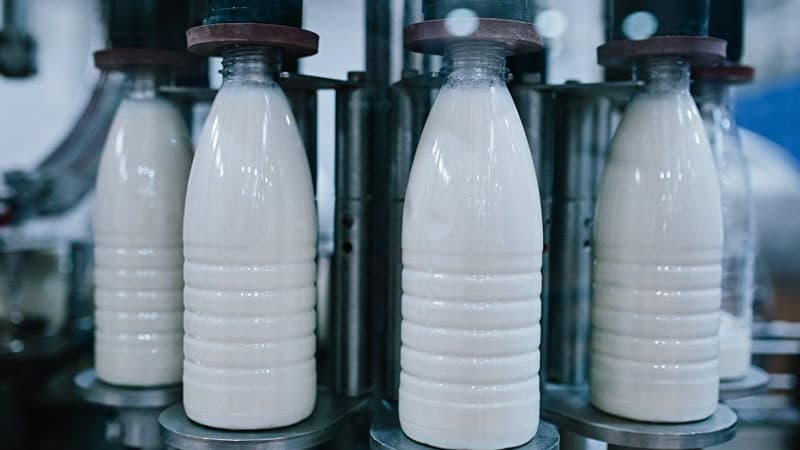 Süd və süd məhsulları, yumurta niyə bahalaşıb? (ŞƏRH)