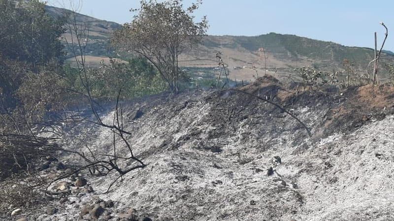 Qubada elektrik dirəyi aşdı, fındıq bağı yandı (FOTOLAR)