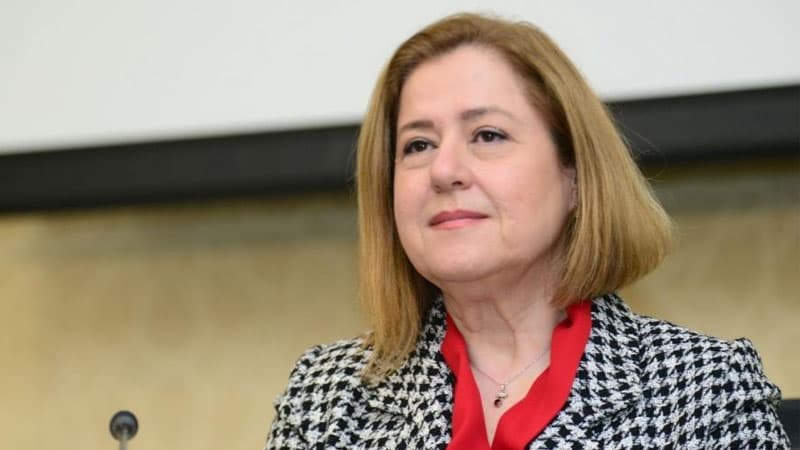 Hande Harmancı: "Azərbaycanla bağlı hesabat bir neçə həftədən sonra hazır olacaq"