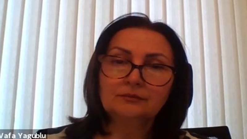 Vəfa Yaqublu: "Təhsilin əvvəlki formada təşkili yalnız "yaşıl" zonada mümkündür"