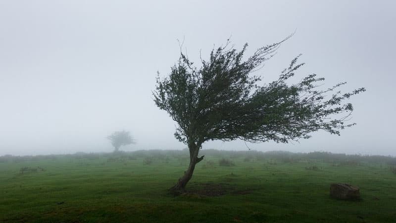 Hava şəraiti ilə bağlı xəbərdarlıq edildi