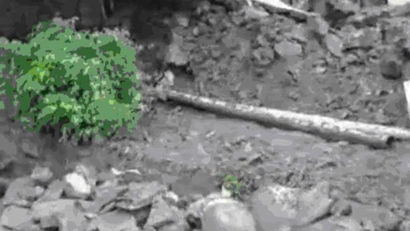 Güclü yağış Oğuzda 500 abonenti qazsız qoydu (VİDEO)