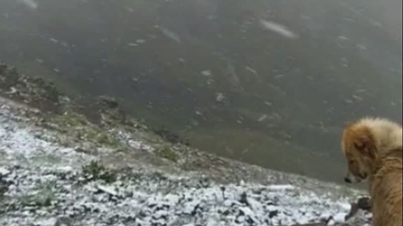 Daşkəsənə qar yağdı (FOTO)