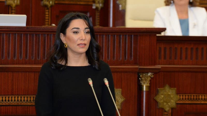 Ombudsman bu halda istefaya göndərilə bilər