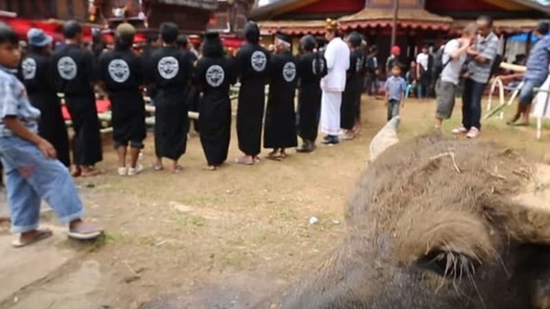 12 yaşlı qız nəşi yuyularkən dirildi: Mütəxəssislər fakta qiymət verdi