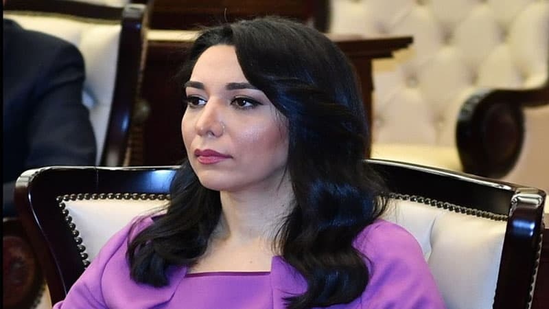 Azərbaycanın Ombudsmanı fəaliyyətini dondurdu