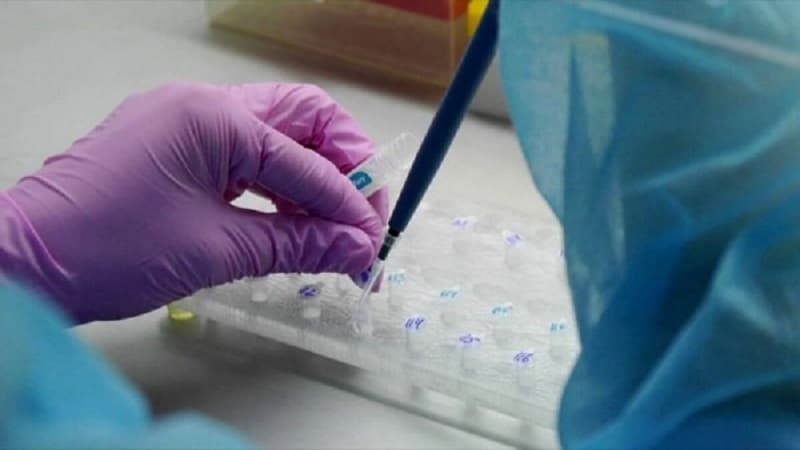 Koronavirus testləri haqda yeni təklif