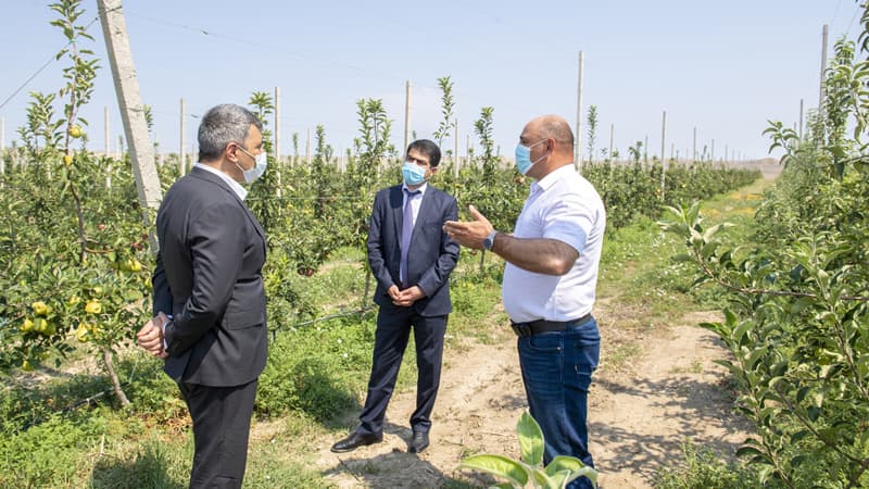 İnam Kərimov Ağstafa və Tovuzda əkin sahələri, meyvə bağlarına baxış keçirib (FOTOLAR)