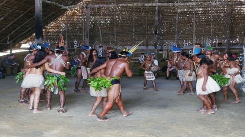 Hindu qəbiləsi onları araşdıran alimi oxla öldürdü