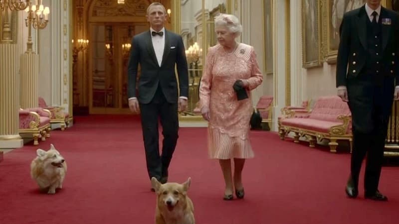 Britaniya Kraliçasının itləri müəmmalı xəstəliklə üz-üzə