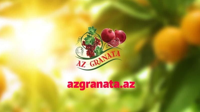 “AZGRANATA” Silahlı Qüvvələrə Yardım Fonduna 100 min manat köçürdü