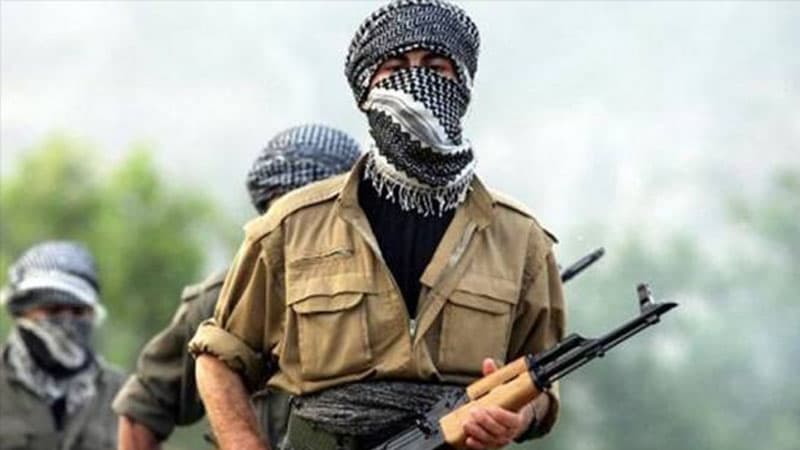 Qarabağda daha 12 PKK/YPG terrorçusu məhv edildi (VİDEO)