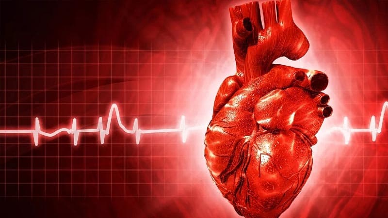 Ürək üçün analoqsuz süni bio-klapan yaradıldı – Elmi kəşf