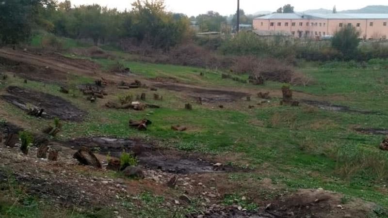 Azad olunmuş ərazilərdə aparılan ekoloji monitorinqlərin nəticələri açıqlandı