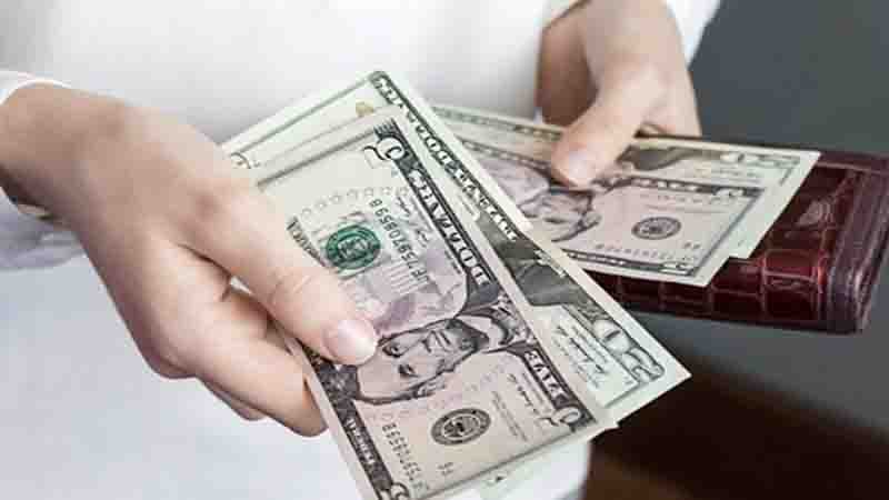 Pandemiyanın yayılması dolları bahalaşdırır