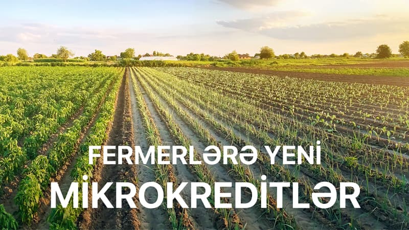“AccessBank” fermerlərə yeni mikrokreditlər təqdim edir