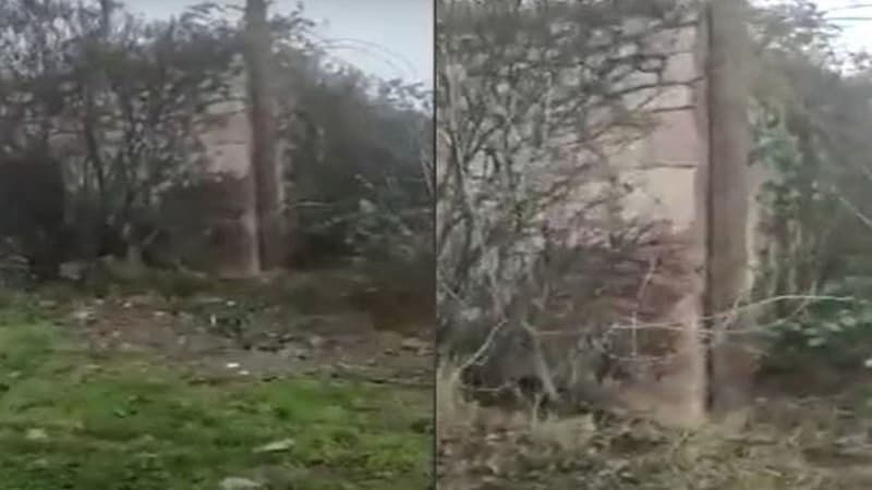 Xalq artistinin Şuşadakı evinin görüntüləri (VİDEO)