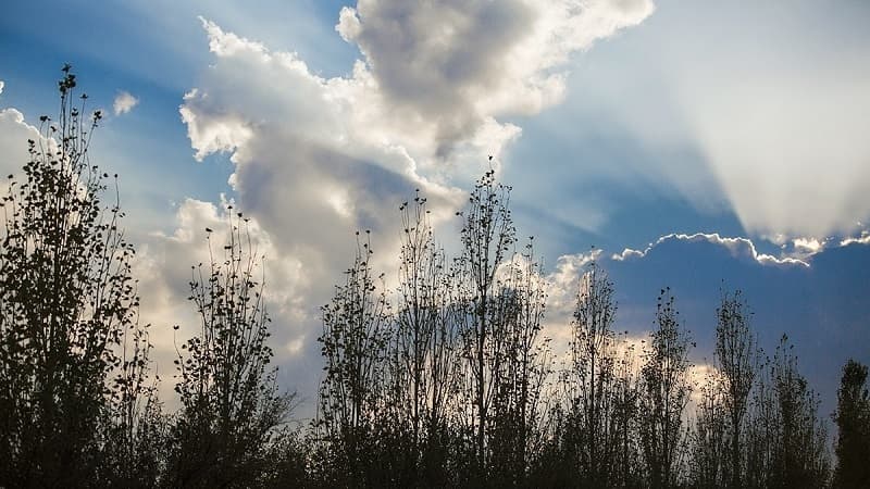 Sabahın hava proqnozu açıqlandı