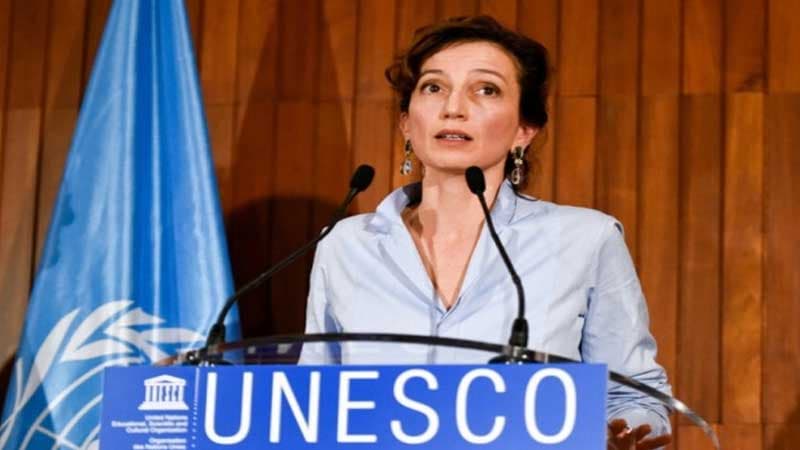 "10 milyon insan işsiz qalacaq" - UNESCO