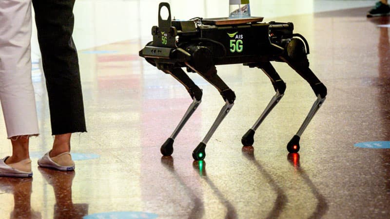 İnsanı öldürmək hüququnu robota versək, bəşəriyyətin məhvi qaçılmaz olacaq